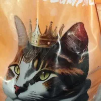 خاک گربه