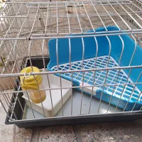 قفس خرگوش و جونده