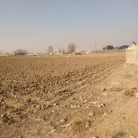 زمین-کشاورزی