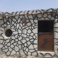 پانسیون اسب