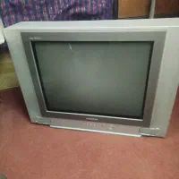تلویزیون