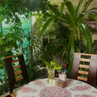 تدریس خصوصی و گروهی زبان انگلیسی و آلمانی