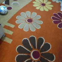 گلیم فرش ۶ متری و کمد
