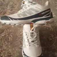 سالامون