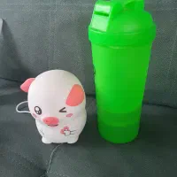 وسایل نو پت