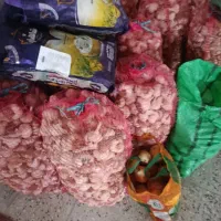 بذرسیر برا فروش نزدیک ۳۰۰کیلو