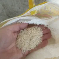 برنج پاکستانی،دانه بلند