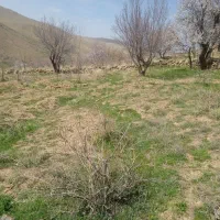 زمین-کشاورزی