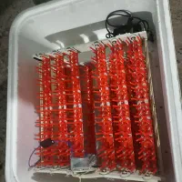 دستگاه جوجه کشی
