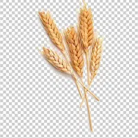 هدیه بلو بانکPIGSWA