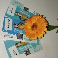 کارت بلیط شهربازی الماس شرق سرزمین عجایب