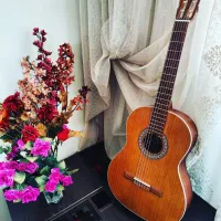 گیتار m۵ پارسی