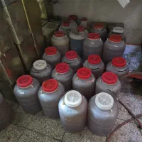 فروش عمده عسل