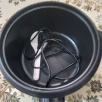 پولوپز برقی
