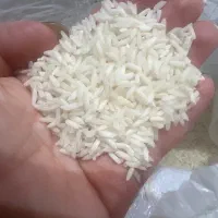برنج هاشمی درجه یک