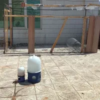 قفس