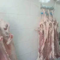 قصاب سیار ، ذبح گوسفند با بهداشت، قصابی در محل