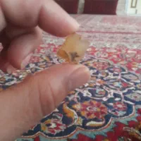 ۳۲عدد عقیق وشجر برش خورده