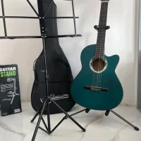 گیتار به همراه پایه و کیف