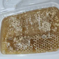 عسل لرستان