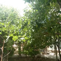 اجاره خانه مسکونی