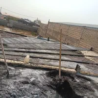 استا بنا سفت کار حرفه‌ای و منصفانه حتما بخونید