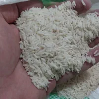 برنج هاشمی درجه یک