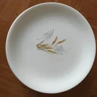 بشقاب پلو خوری ملامین