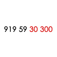 919 رند و مناسب برندینگ 300 30