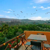 کلبه‌ ویلا با استخر آب داغ و ویو ابدی جنگلی دربست