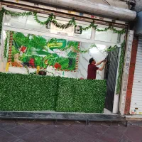 کارگر سبزی