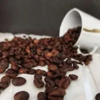 قهوه 20/80