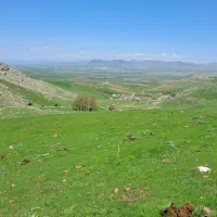 راهنمایی