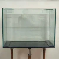 آکواریوم