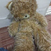 خرس