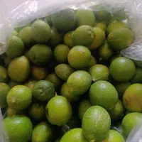 انبه کال و لیمو