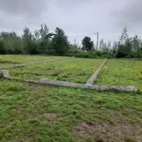 زمین-300متری-باغی-داخل-طرح-با-نامه-بنیاد