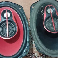 باند پایونر اصلی 6950
