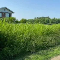 فروش-زمین-229متری-روستایی-املاک-آسیانوین