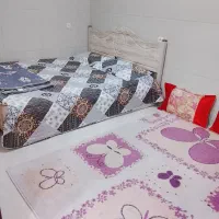 سوئیت شبانه
