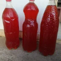 آبغوره و سرکه سیب