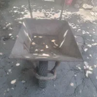 فرغون جنس ضخیم