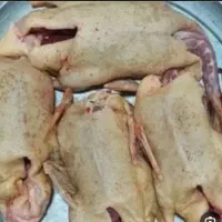 اردک