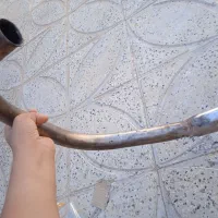 اگزوز|موتورسیکلت|شاهو, |دیوار