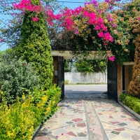 طرح و اجرای فضای سبز