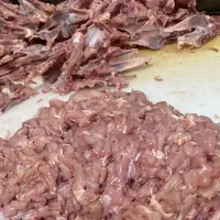 بچه فیله تمیز