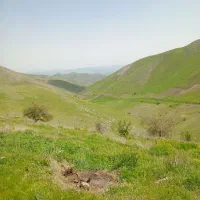 جویای کار