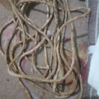 زنجیر ساچمه ای پرده داخل ساچمه برای پرده