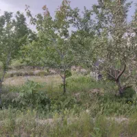 باغ-سهندفاز3