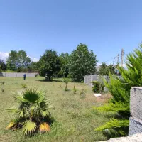 زمین مسکونی 250 متری